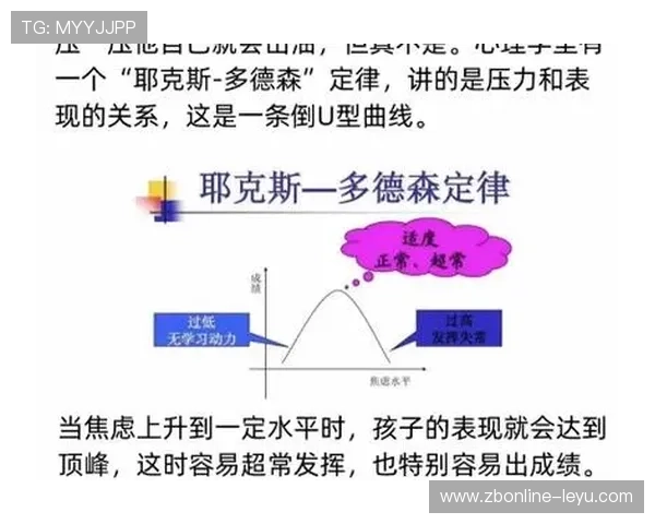 鲁伊斯成长曲线解析：从新星到巨星的蜕变之路