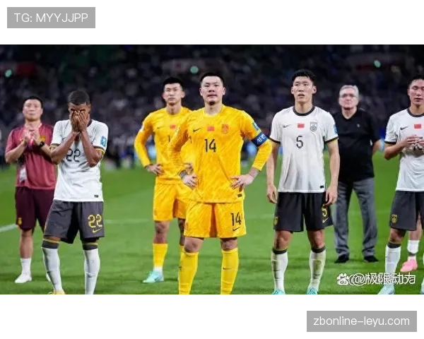 上海申花2024赛季表现稳健，实力跃升成焦点