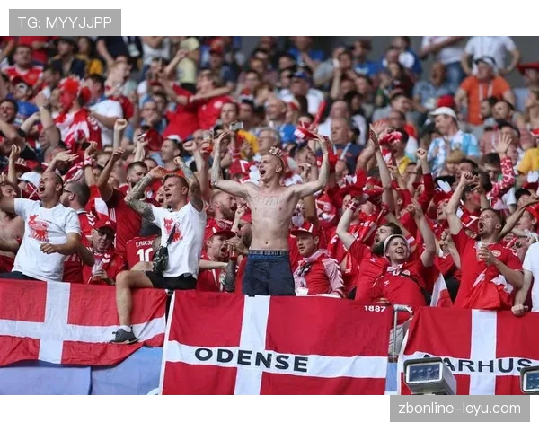 丹麦队强势晋级世界杯16强，稳健表现彰显实力与团队默契