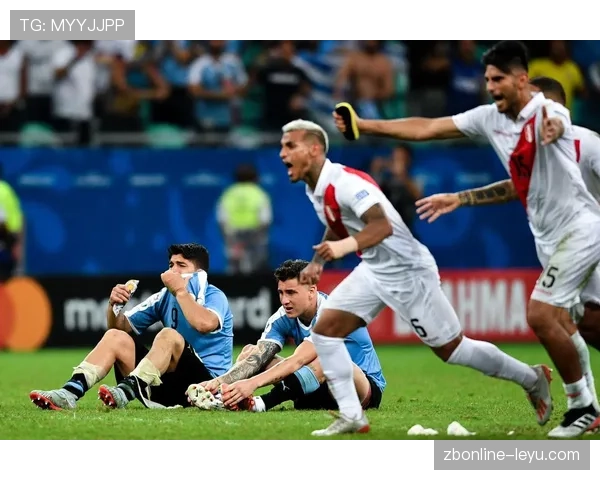 乌拉圭队整体表现